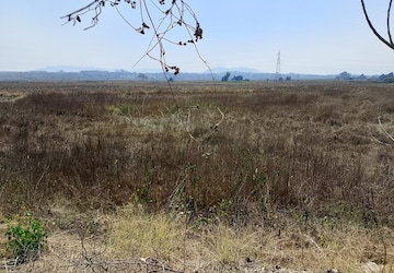 Plot Area in  Plot at Dronagiri – for Sale