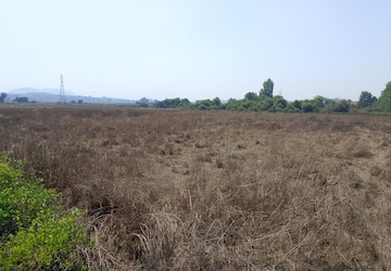 Plot Area in  Plot at Dronagiri – for Sale