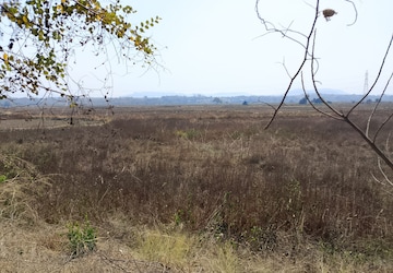 Plot Area in  Plot at Dronagiri – for Sale