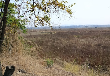 Plot Area in  Plot at Dronagiri – for Sale