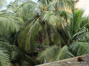 2 BHK Apartment – Exterior View View at Jatayu CHSL, Mira Road East - for Rent