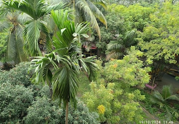 2 BHK Apartment – Garden View at Jatayu CHSL, Mira Road East - for Rent