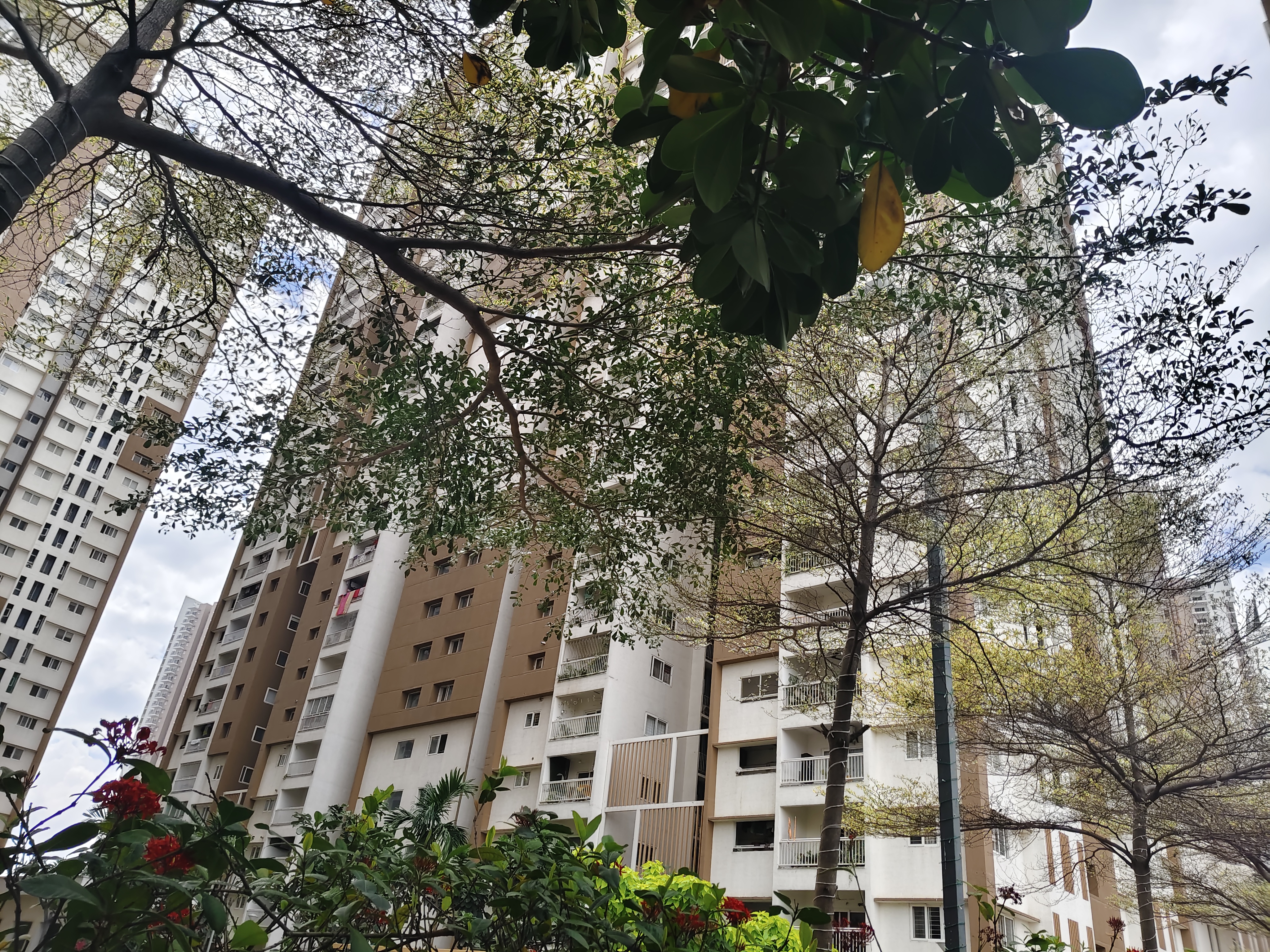 2 BHK + Pooja Room Apartment For Rent in My Home Avatar