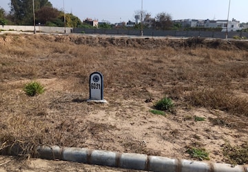 Plot For Sale in Sector 127