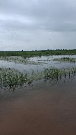  Plot For Sale in NKV Vaishnav Residency, Sector 66