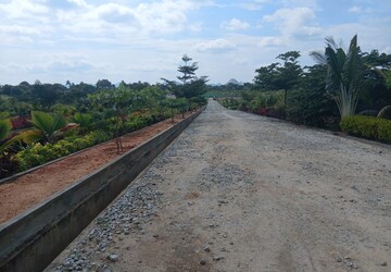 Plot Area in  Plot at Chikkaballapur – for Sale
