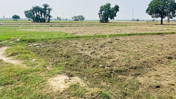 Plot Area in  Land at Bisahda – for Sale