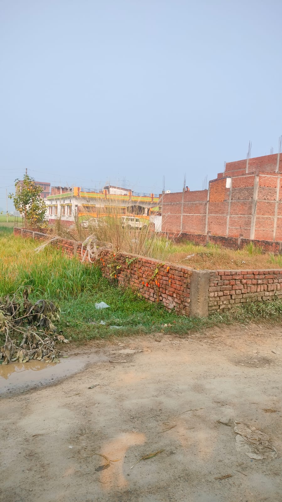 Plot For Sale in Shrishi Nagar Colony