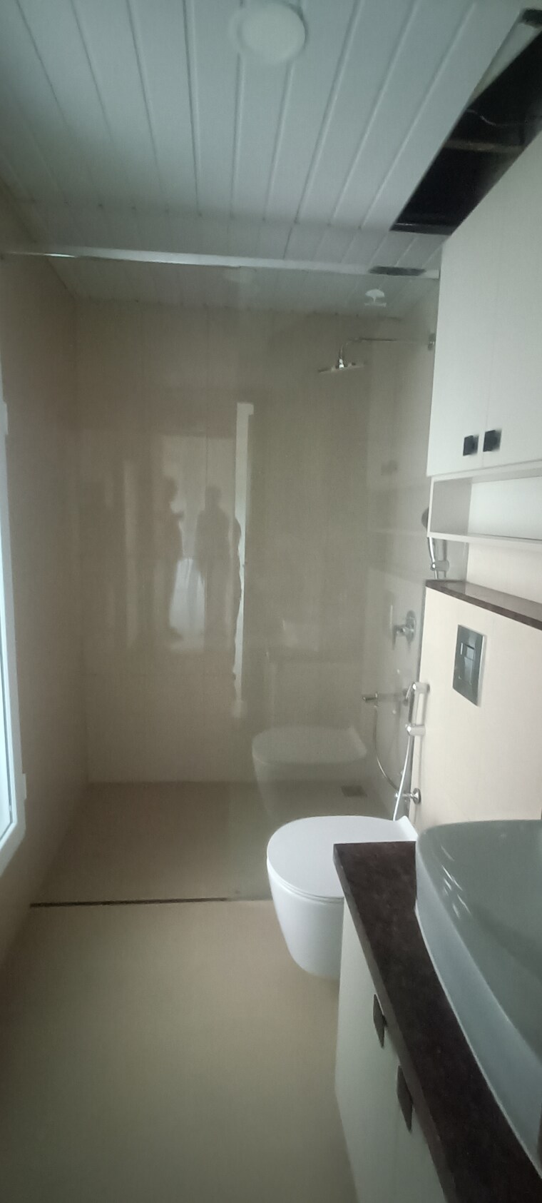 Bathroom, l-t-raintree-boulevard 4 Bedroom 2700 Sq.Ft. Apartment In Hebbal Bangalore 9337096