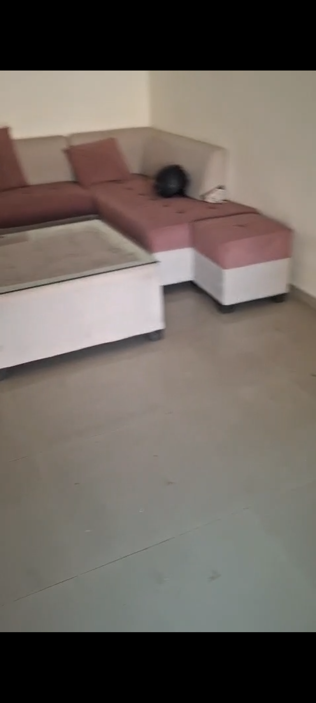 2 BHK Apartment For Rent in Adani Aangan