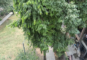 2 BHK Apartment – Garden View at Ratanpur - for Rent