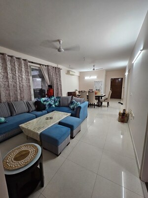 3.5 BHK Apartment For Rent in Godrej Aria, Sector 79