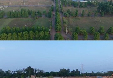 Plot Area in  Plot at Kothavalasa – for Sale