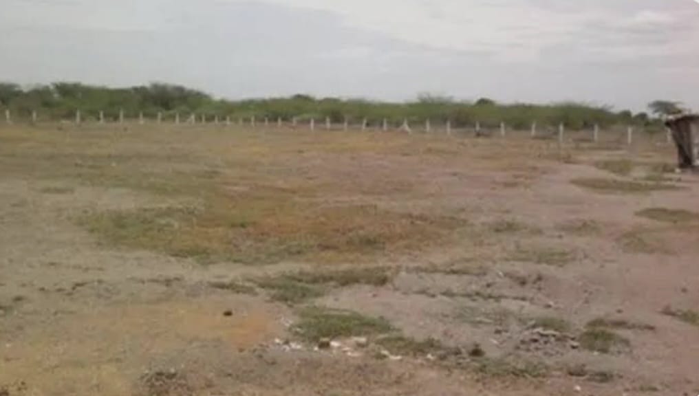 Plot For Sale in Authority Plots 