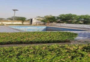 Plot Area in  Plot at Noida Greater Noida Expressway – for Sale