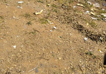 Plot Area in  Plot at Madhapur – for Sale