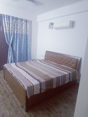 3 BHK Apartment For Rent in MD Leafstone Apartments, Patiala Road