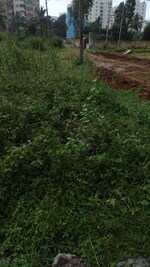 1601 Sq.Ft. Plot in Electronic City Phase II