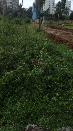  Plot For Sale in Electronic City Phase ii