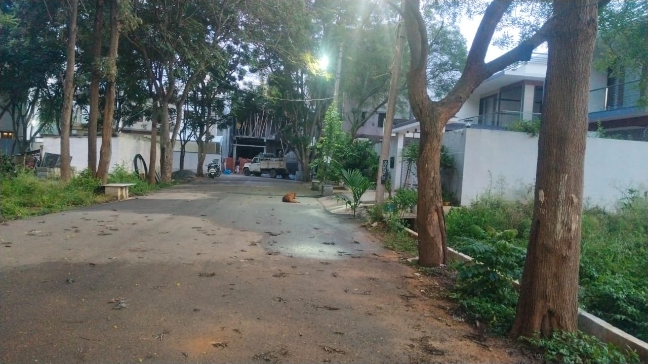 Plot For Sale in Nishchay