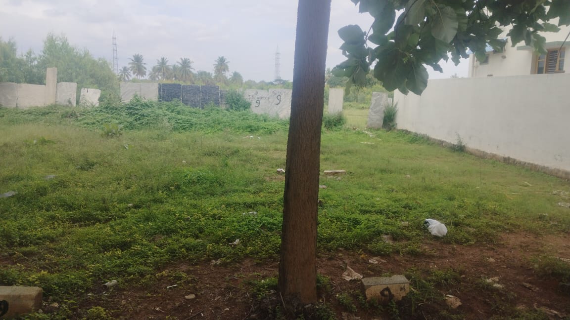 Plot For Sale in Nishchay