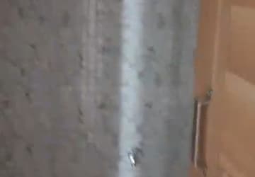 Bathroom in 1 BHK Apartment at Dombivli East – for Rent