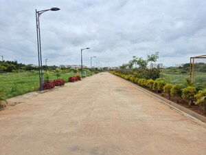  Plot For Sale in Terra Butterfly Avenue, Kadubeesanahalli