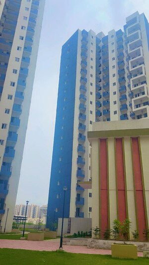 1 BHK Apartment – Exterior View View at Amrapali Dream Valley, Tech Zone 4 Greater Noida - for Sale