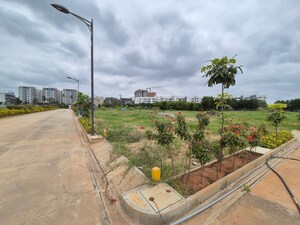  Plot For Sale in Terra Butterfly Avenue, Kadubeesanahalli