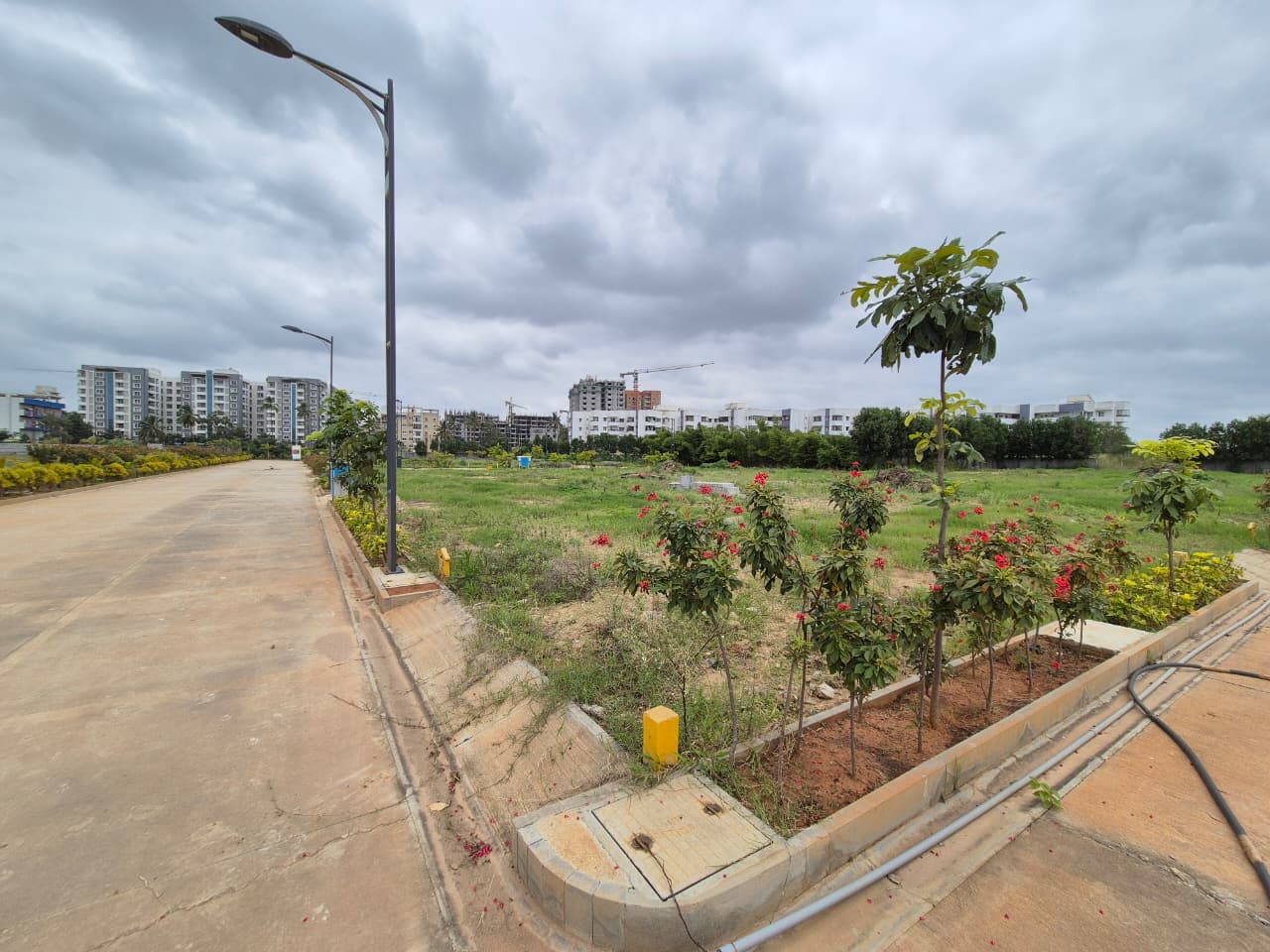 Plot For Sale in Terra Butterfly Avenue