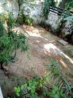 600 Sq.Yd. Plot in Sainik Farm