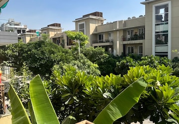 3 BHK Builder Floor – Garden View at Old Rajinder Nagar - for Rent