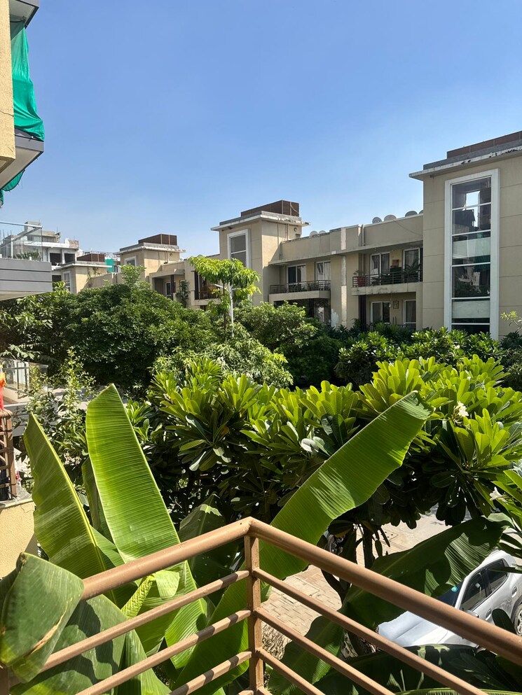 Garden, old rajinder nagar 3 Bedroom 950 Sq.Ft. Builder Floor In Old Rajinder Nagar Delhi 9340814