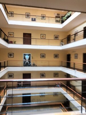 2 BHK Apartment For Rent in Lushlife The Ovo Life, Kondhwa