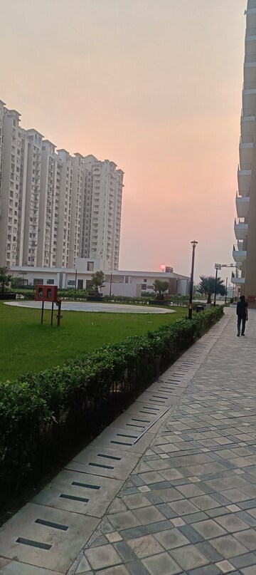 3 BHK Apartment For Rent in Amrapali Crystal Homes, Sector 76