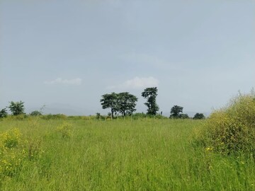 Plot Area in  Plot at Palidevad – for Sale