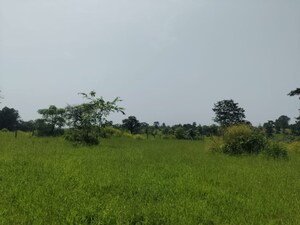 Plot Area in  Plot at Palidevad – for Sale