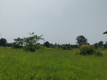 Plot Area in  Plot at Palidevad – for Sale