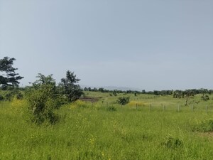 Plot Area in  Plot at Palidevad – for Sale
