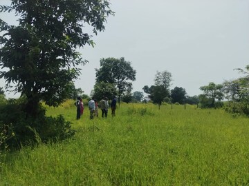 Plot Area in  Plot at Palidevad – for Sale