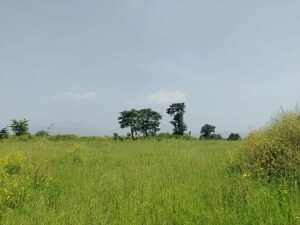  Plot – Map Location View at Palidevad - for Sale