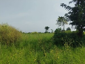  Plot – Map Location View at Palidevad - for Sale