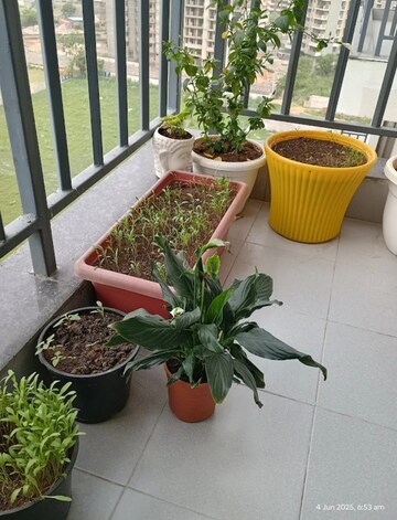 Master Bedroom in 2 BHK Apartment at Landmark The Residency, Sector 103 – for Sale