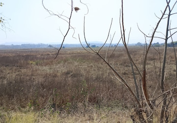 Plot Area in  Land at Dronagiri – for Sale