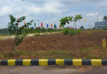 Plot Area in  Plot at Sangareddy – for Sale
