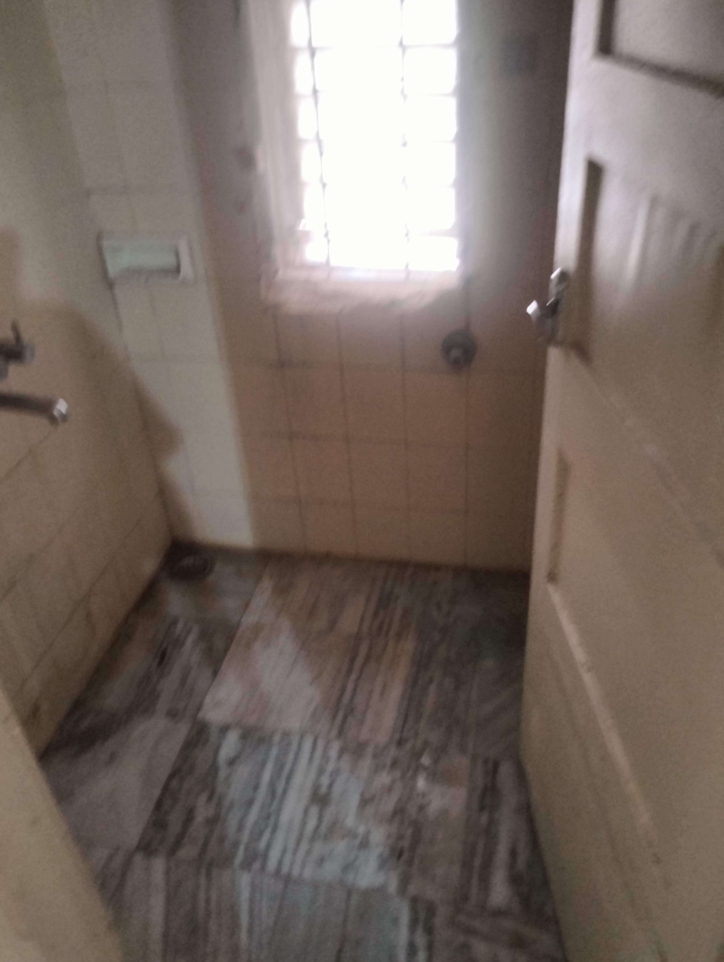 2 BHK Apartment For Rent in Vivanta Primera