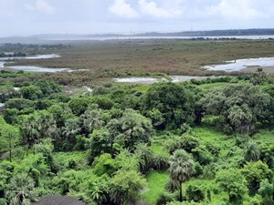 Plot Area in 2 BHK Apartment at Rustomjee Meridian, Kandivali West – for Rent