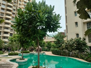 2 BHK Apartment For Rent in Lodha Bel Air, Jogeshwari West