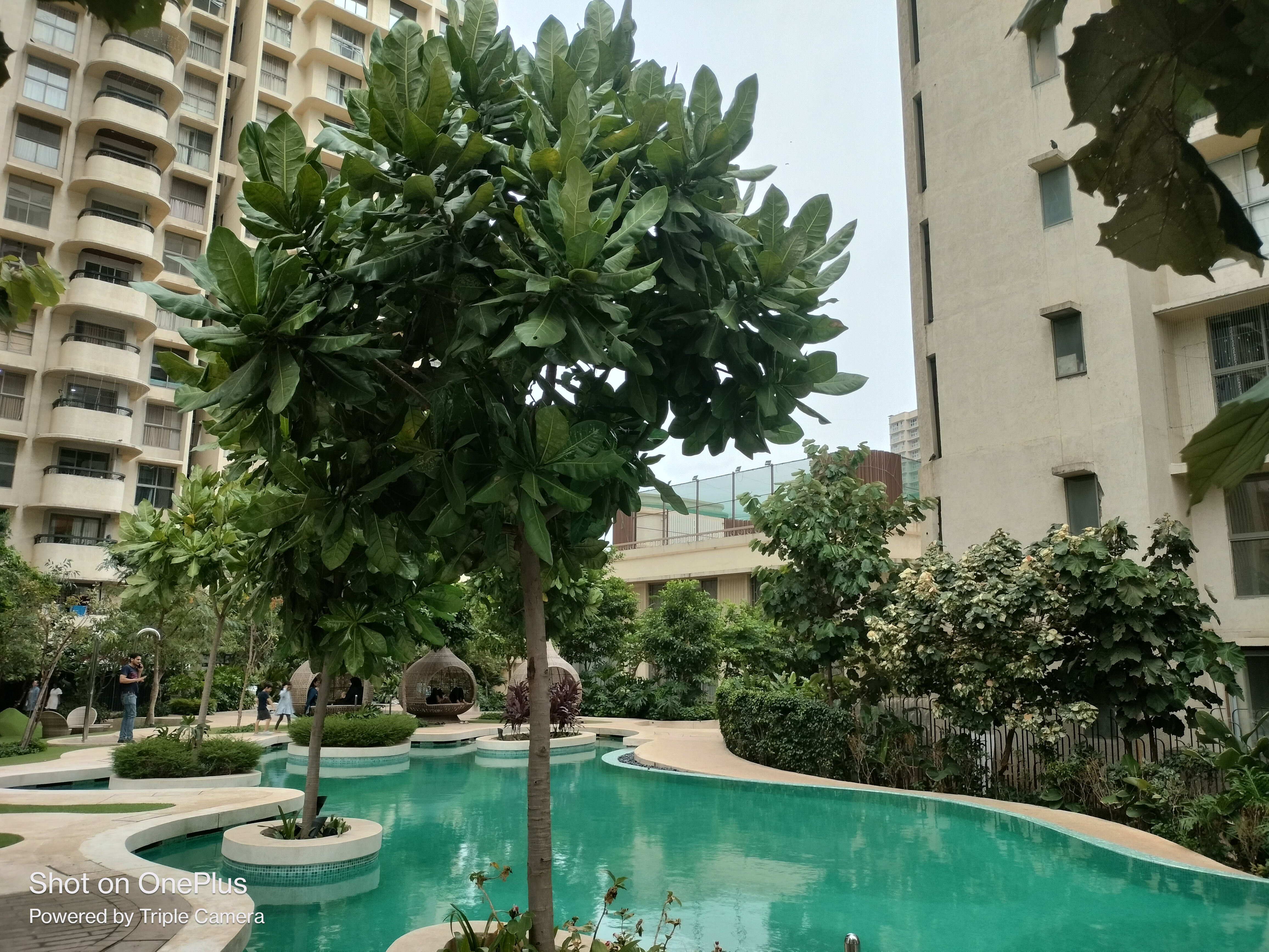 2 BHK + Study Room Apartment For Rent in Lodha Bel Air