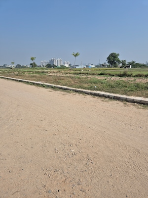  Plot For Sale in Altus Prime, North Mullanpur